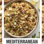 Mediterranean Orzo Salad Recipe
